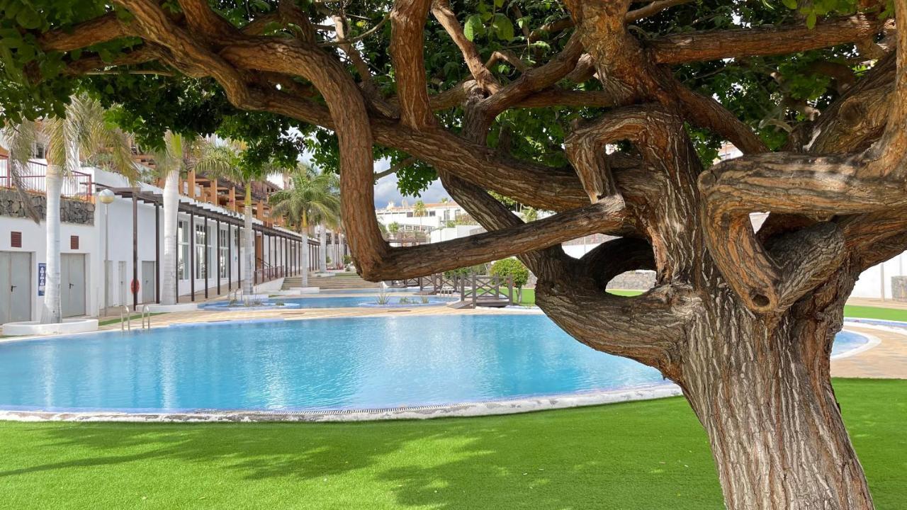 Casa Helen 2 Tenerife Sur Apartman San Miguel de Abona Kültér fotó